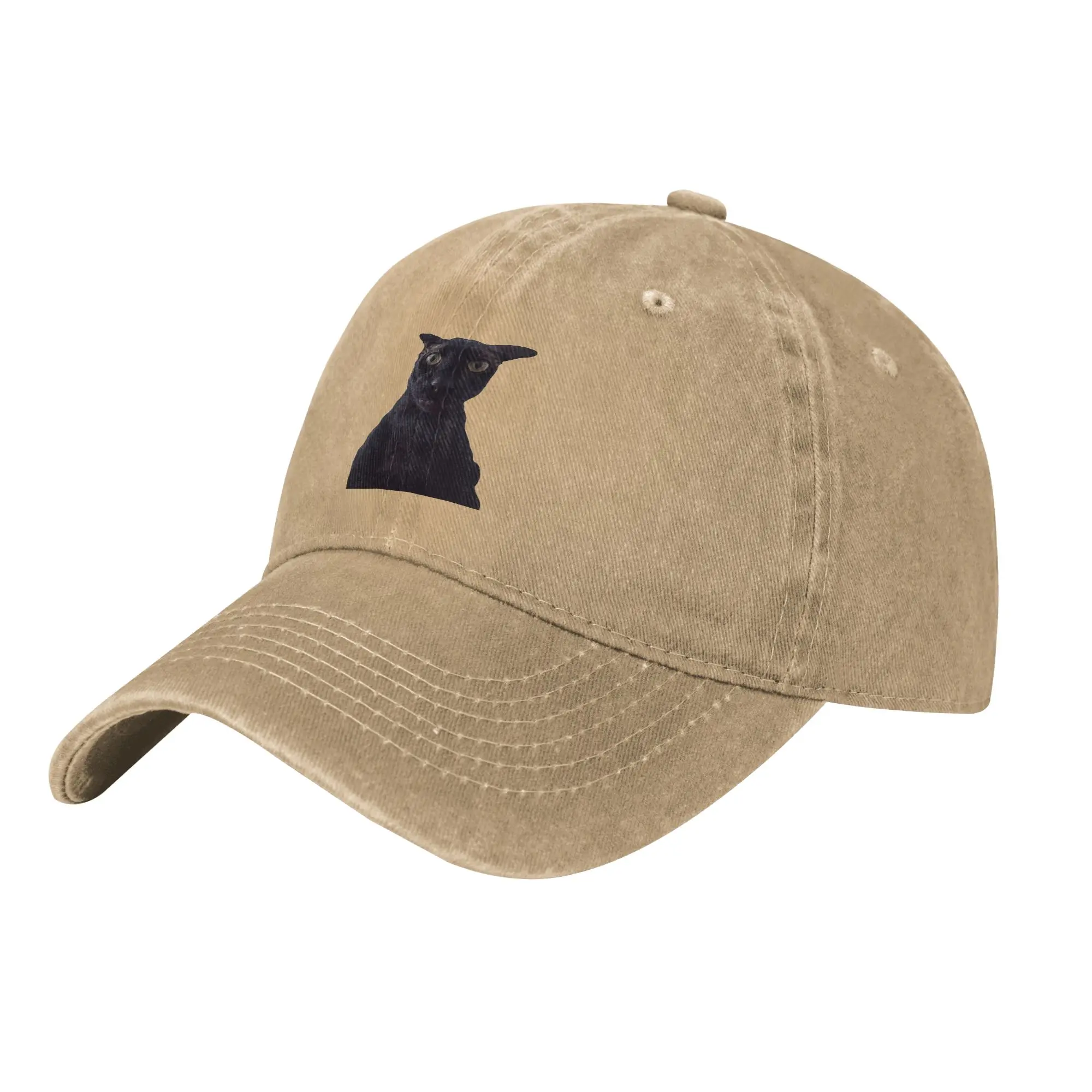 Larry the Cat Baseball Caps Classic Distressed Denim  Headwear Unisex Style Outdoor Workouts  Adjustable Hats Cap