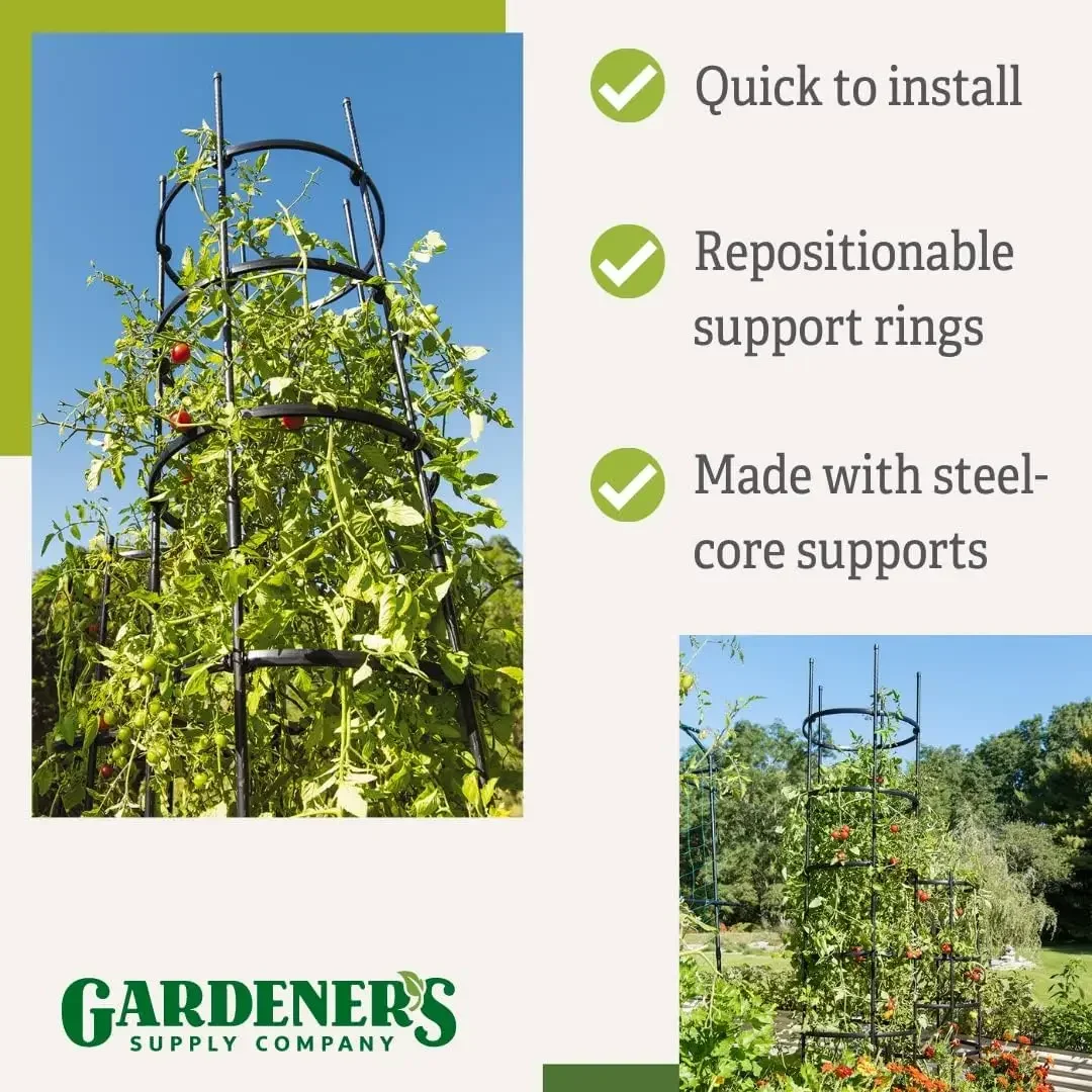 أقفاص طماطم طويلة جدًا قابلة للتخصيص من تيتان، مجموعة من 3 قطع، تعريشة دعم نباتية قوية من الصلب لنباتات التسلق والخضروات، 19-