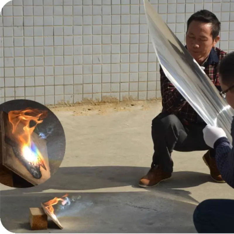 1000mm Large Optical PMMA Solar Cooker Fresnel Condenser Lens Focal Length 1000mm 1300mm Lighthouse Lenses Concentrator Lentes