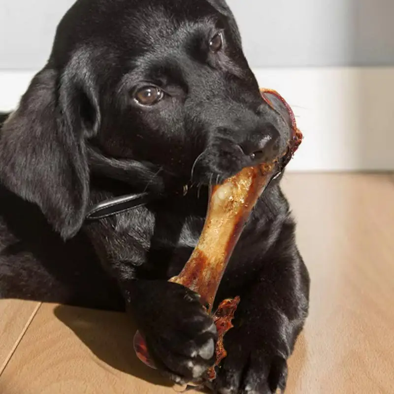 Dog Marrow Bone Real Beef Shank Dog Chew Bone Natural Dog Marrow Bone Healthy Large Breed Dog Treats For Small To Large Breed