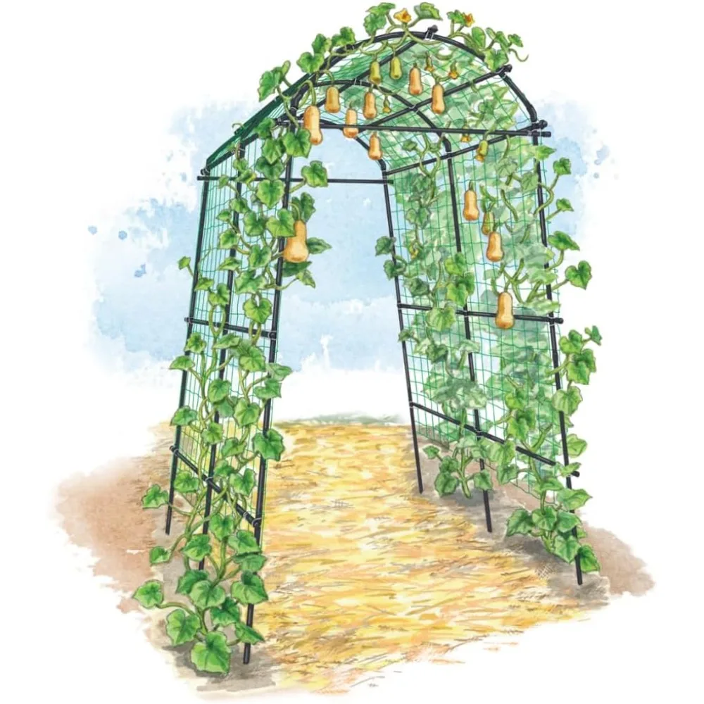 

Extra Tall Garden Arch Arbor 80in Titan Squash Tunnel | Lightweight Metal, | Outdoor Lawn Tower & Garden Support Structure