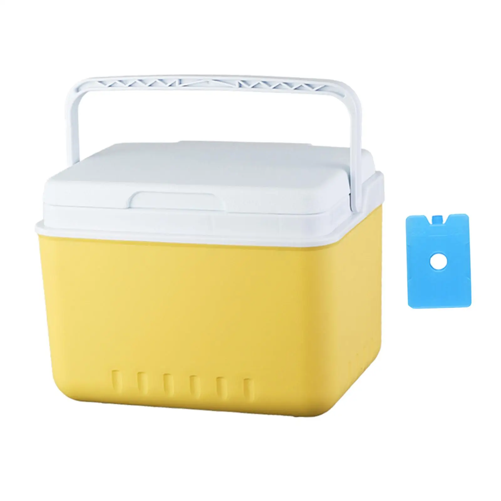 Insulated Cooler Organizer Cooling Bucket Fashion Container Ice Chest Box Camping Case for Barbecue Traveling Beach Groceries