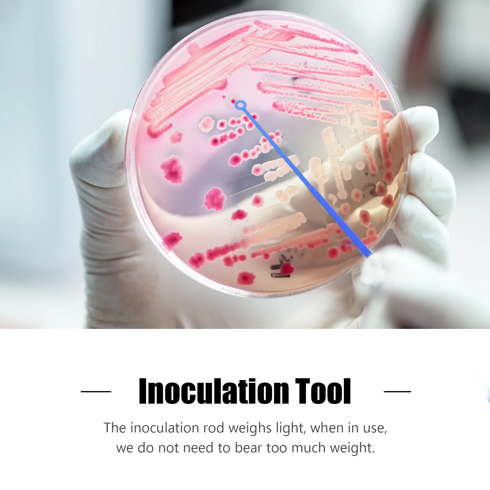 20 ชิ้น Inoculating Stick จุลชีววิทยา Inoculation ชิ้นส่วนอุปกรณ์เสริม Rod เครื่องมือห้องปฏิบัติการสะโพกแท่งเครื่องมือ