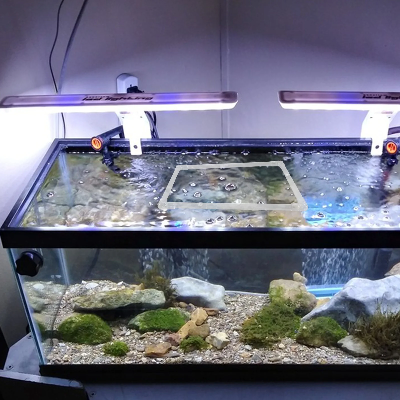 

1Set Aquarium Floating Plant Holder Attractive Design Seamless Integration with Tank Environment Easy Feeding Isolation Ring