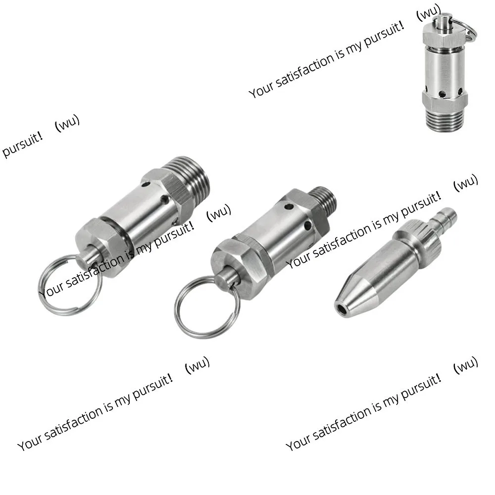304 Stainless Steel Mini Spring Safety Valve 1/4 '1/2 Inch BSPT Male 1-10 Bar, Air Compressor Exhaust Pressure Relief Valve