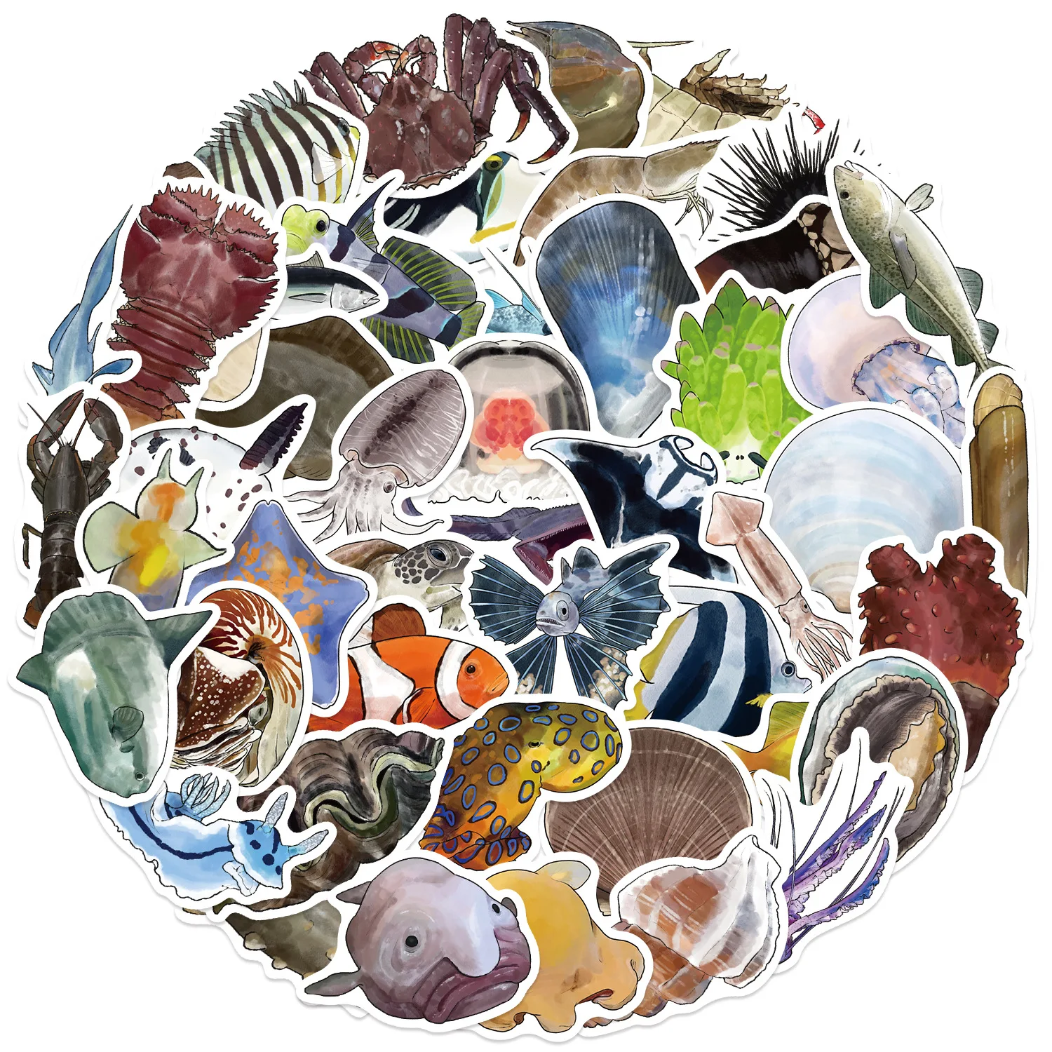 50PCS Funny Marine Life Cartoon Stickers Fish Shrimp Shell Animal Graffiti Decoration DIY Toys Fridge Laptop Guitar Bike Decals