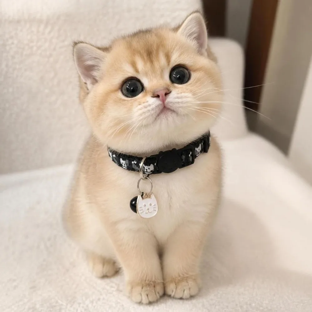 Cute Adjustable Cat Collars Quick Release Buckle Cat Pattern Kitten Bell Cartoon Pet Collar For Cats