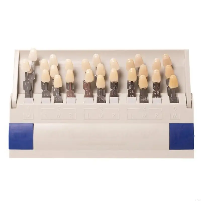 F26C Teeth Shade Guide Classical Dentistry Equipment Teeth Whiten Porcelain 16/29 Colors Tooth Model Colorimetric Plate