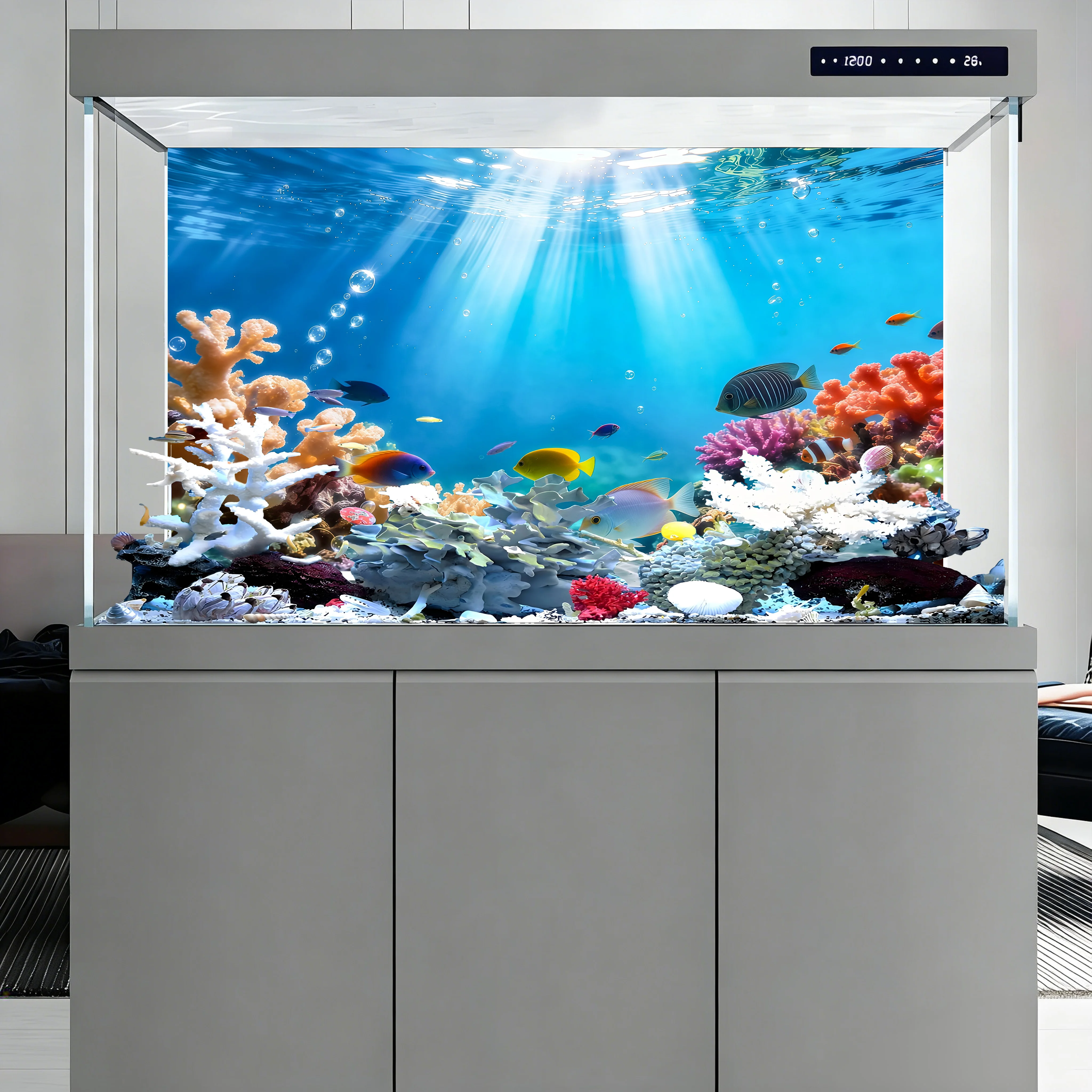 Rainbow-colored corals , fish - Aquarium Fish Rainbow review and price