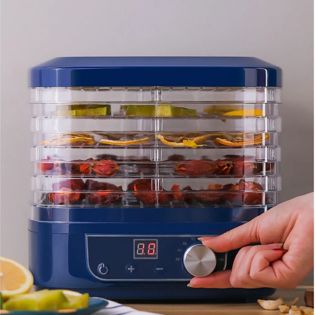 SUSWEETLIFE 5-layer Dried Fruits, Food Dryers, Fruits, Vegetables, Pets, Meat, Food Drying Machines, Small Household