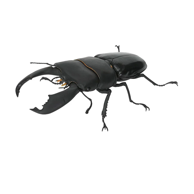 Oryginalne zabawki BANDAI Ikemono Taisyou ADVANCE Stag Beetle Gacha Lucky Draw Anime Action Model Figures Collection