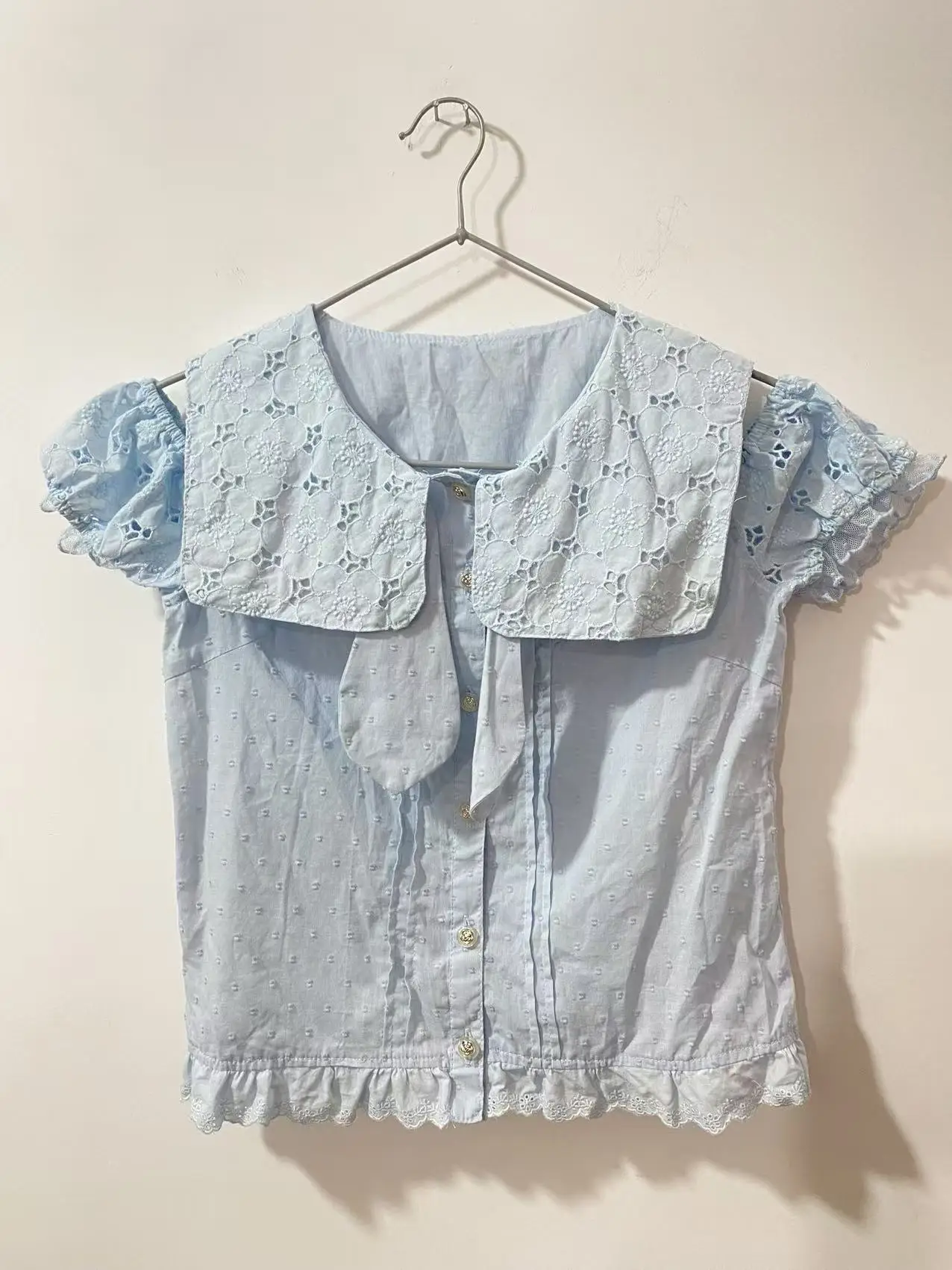 Blue Emroidery