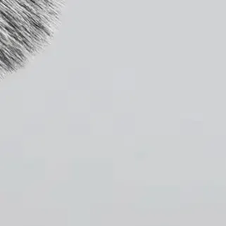 Pennello per fard per capelli naturali Dettaglio viso Ombra Pennelli per trucco Peli di capra Fard Bronzer Pro Strumenti cosmetici essenziali