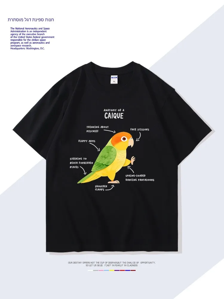 Camiseta de Manga Corta de Algodón Puro, Corte Holgado, Estilo Juvenil y Vibrante, Estampado de Caique Parrot, Algodón Antimicrobiano, Life Explosion
