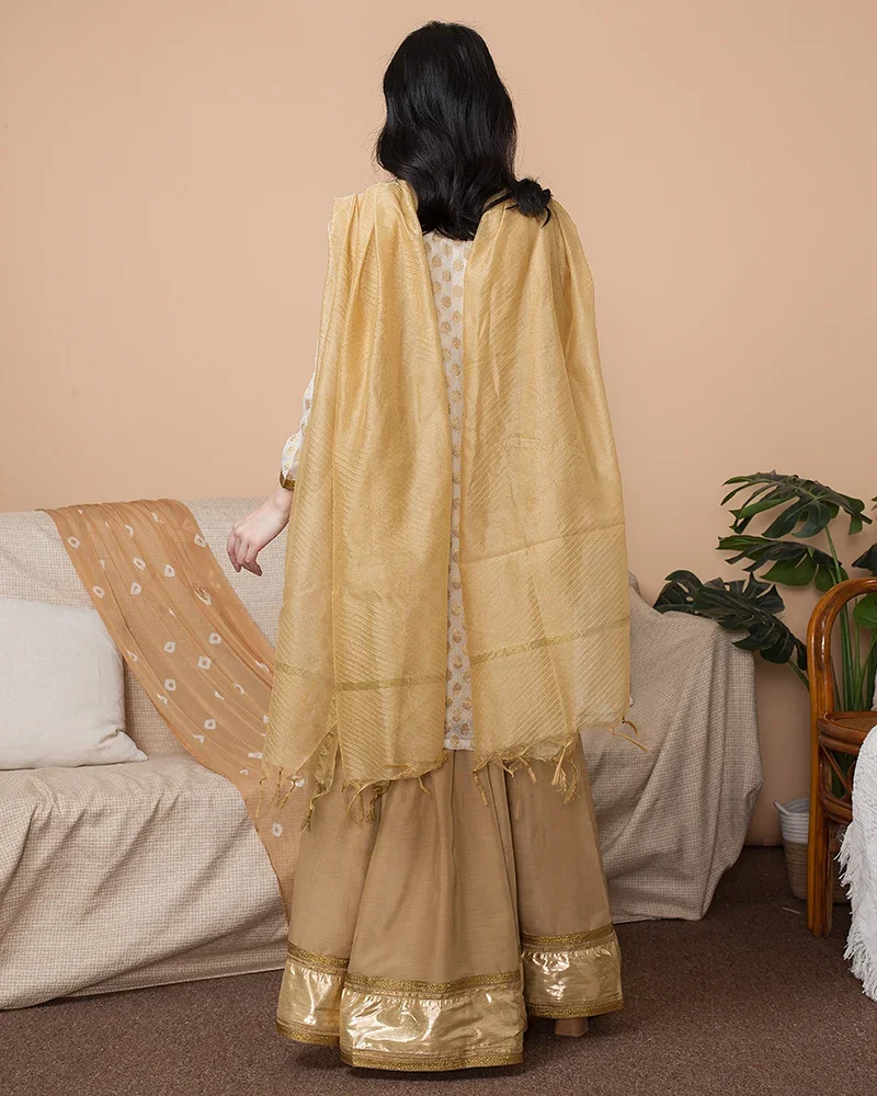 Abbigliamento importato in seta stile elegante da donna indiana