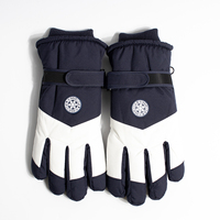 Unisex Winter Warm Touchscreen Ski Gloves Non-slip Snow Snowboard Outdoor Sports Mittens Windproof Thicken Cycling Gloves