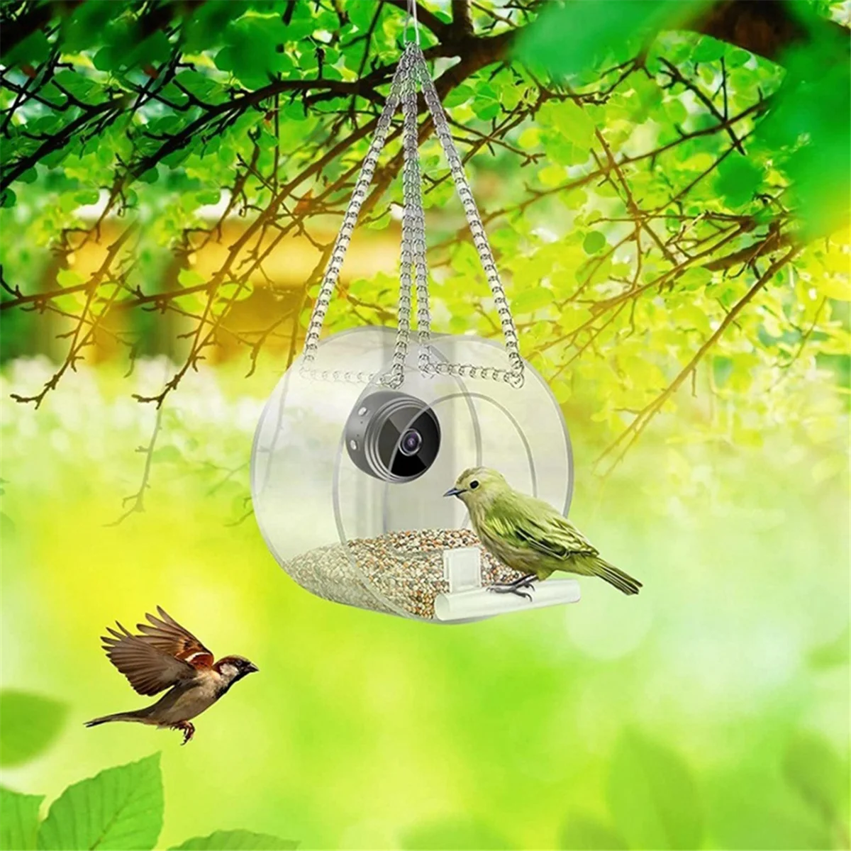 Bird Feeder with Camera ,with HD Night-Version Bird Watching Camera for Outdoor Bird Watching & Capture Photos C TQ