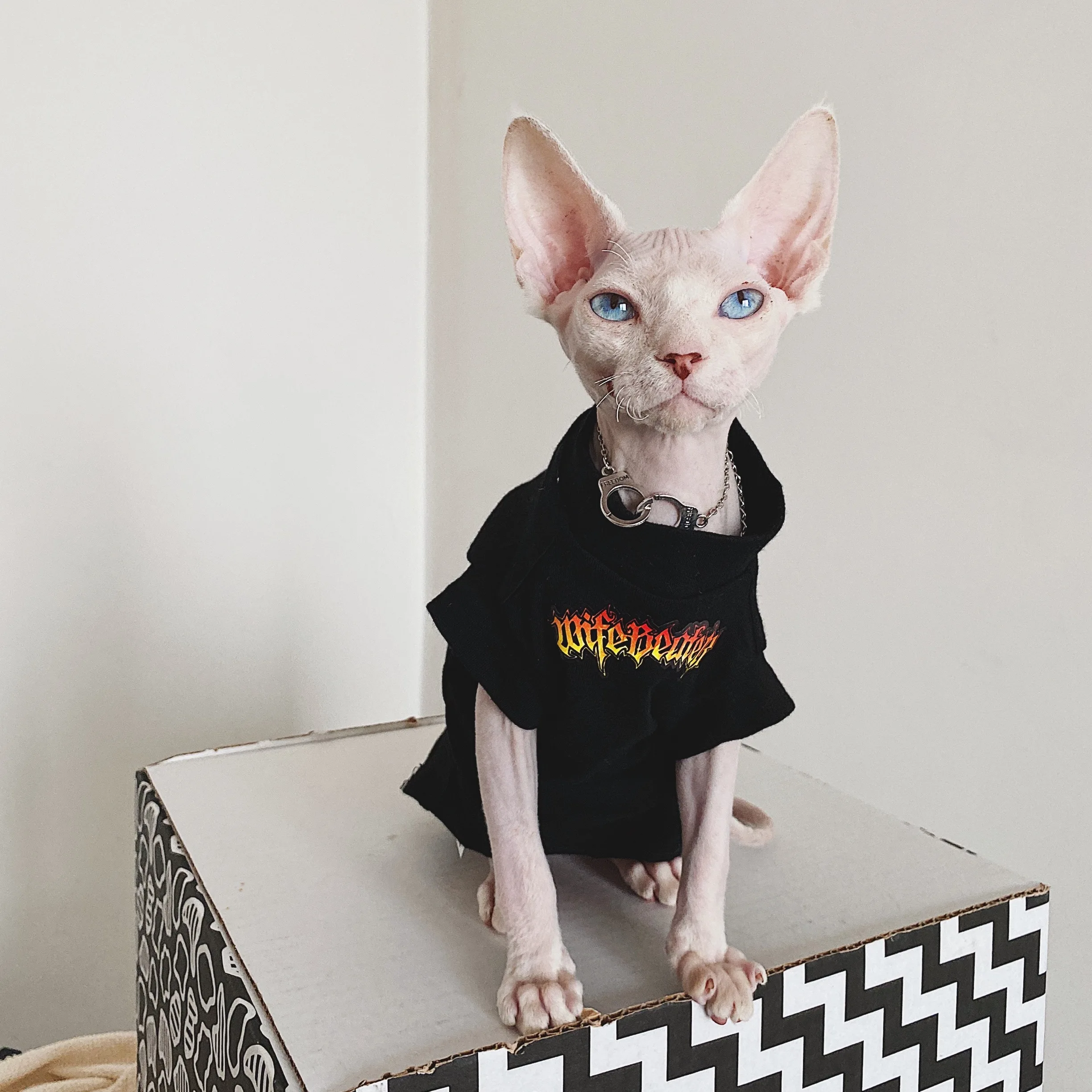 Cat Clothing Spring Summer Cotton shirt for Sphynx Fashion Black Short Sleeves Coat for Cats Dogs Cartoon Jumpsuit For Devon Rex