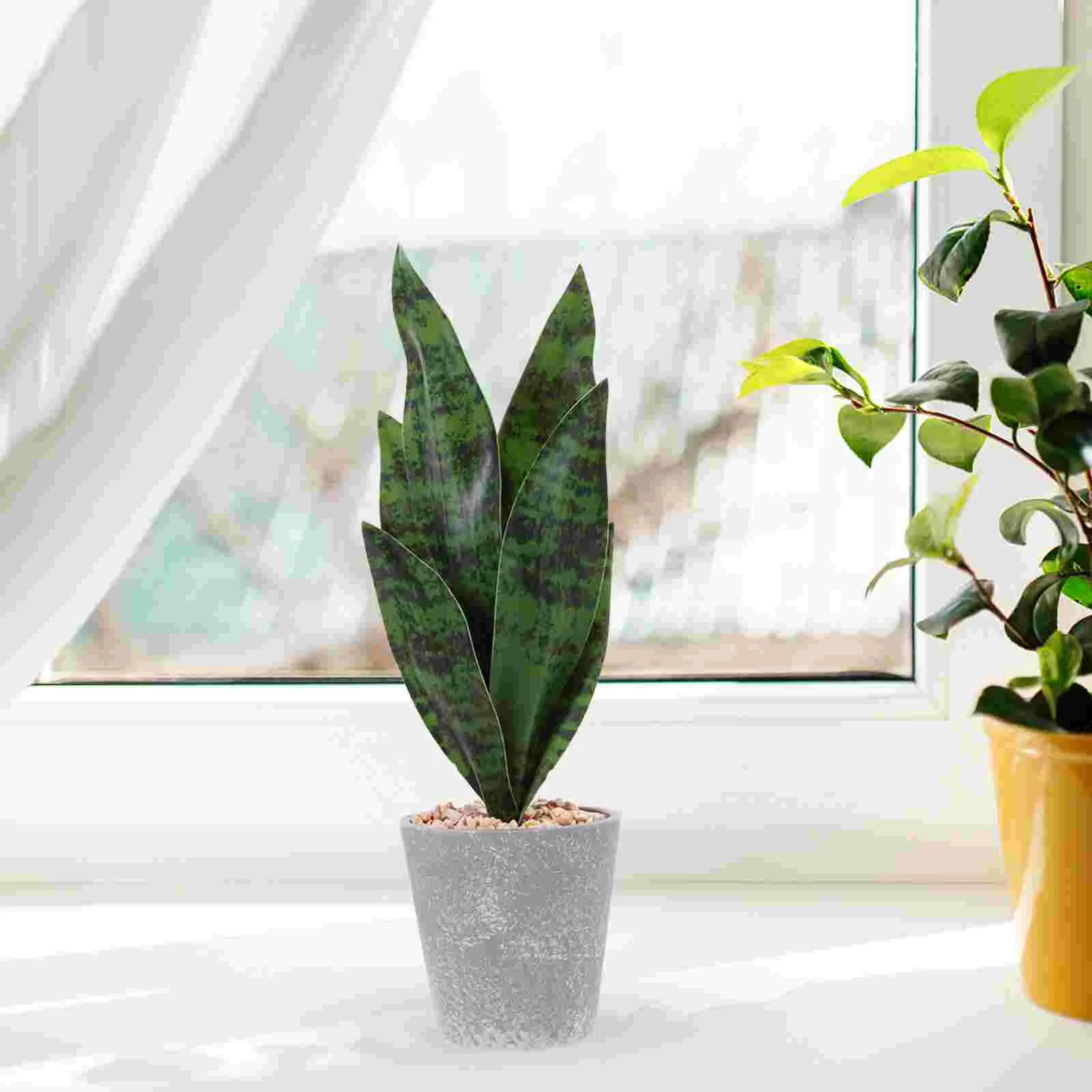 Tequila Artificial Tiger Piranha Bouquet Plants with Pot Tomorrow Adornment Sansevieria