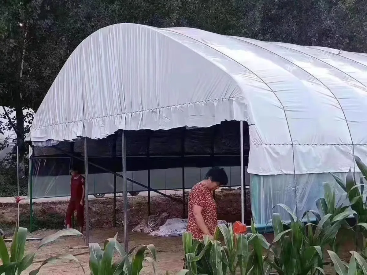 2025 Pellicola per serra in bianco e nero per acquacoltura, pellicola per isolamento termico, raffreddamento e protezione solare