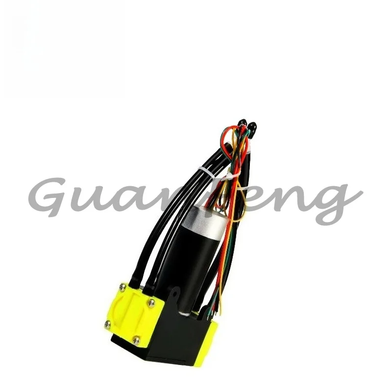 Flow Rate 10L/min 12v 24v Mini Double Head Oil-Free Vacuum Air Brushless Diaphragm