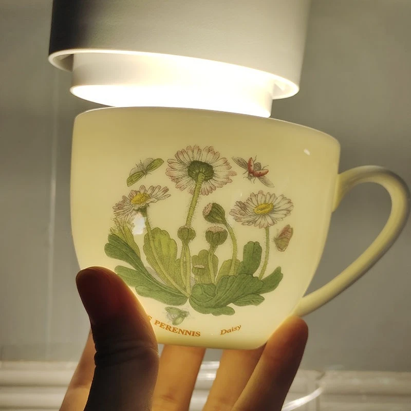 English Coffee Cup And Saucer Botanical Garden Series Bone China Cup And Saucer Couple Pair Mug Simple And Exquisite