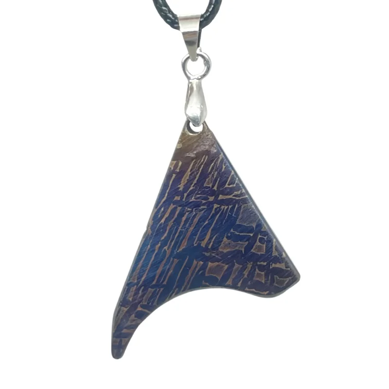 9.3g Muonionalusta meteorite pendant Natural iron meteorite pendant Meteorite slice Collection -LK256