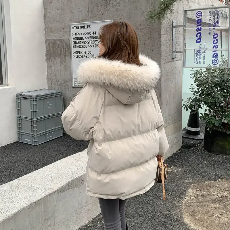 Cotton-padded Jacket New Style Female Cotton-padded Clothes Korean Version Loose Wintertime Thickening Type Short Down Jacket