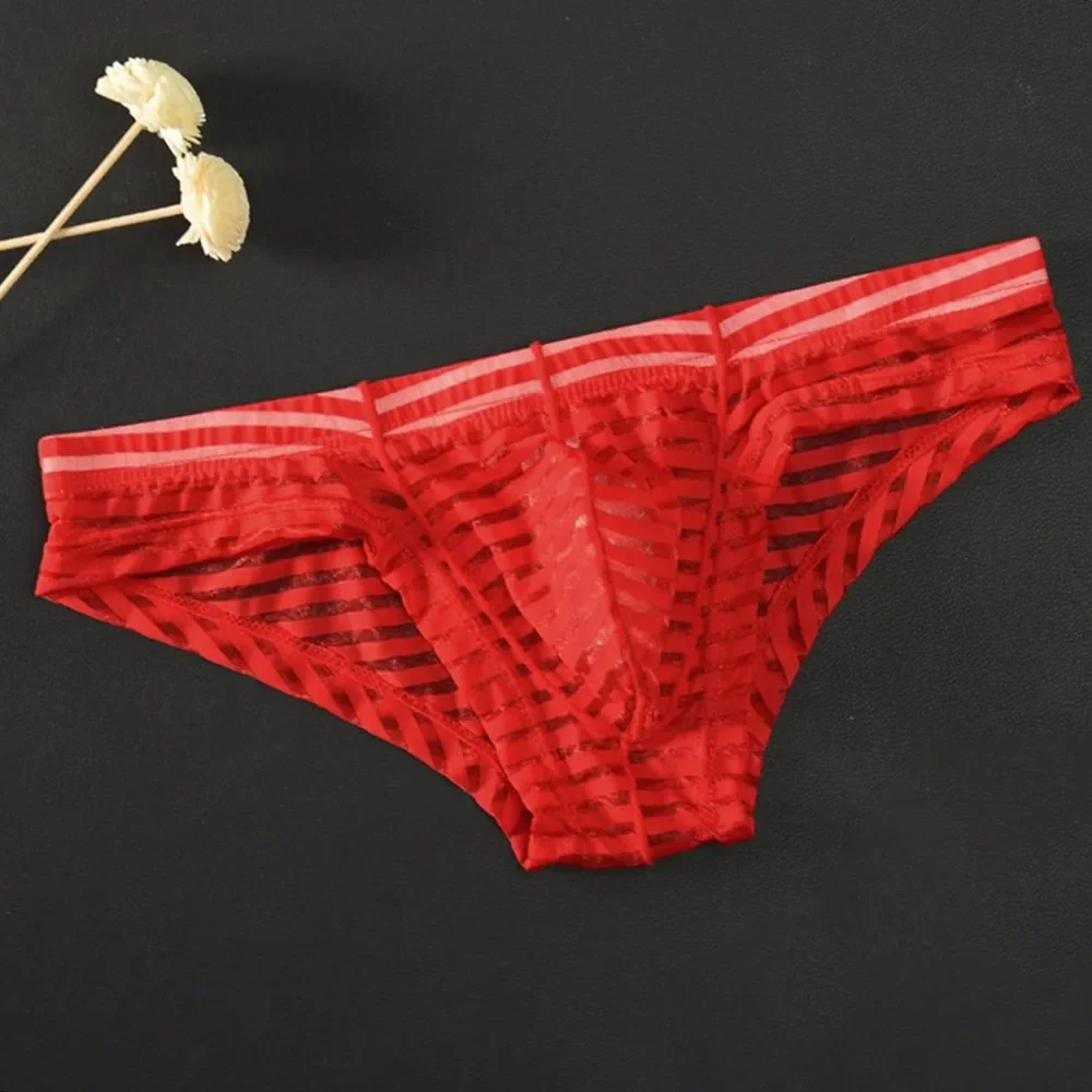 Mesh Briefs Thin Mesh See Through Panties Breathable Transparent Underpants Low-Waisted High Stretch Underwear Striped Lingerie