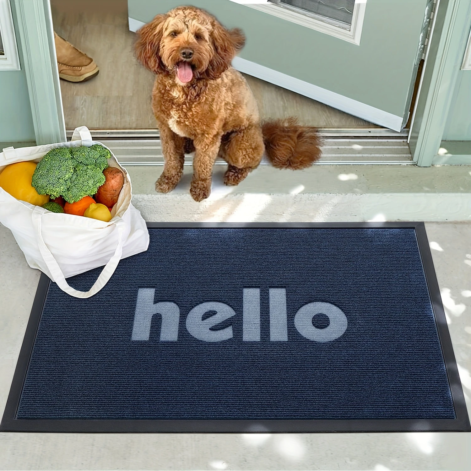 Door Mat Outdoor Indoor Entryway Rugs Welcome Mats Front Doormat for Entrance  Heavy Duty Rubber Backing Low Profile Non Slip Ru