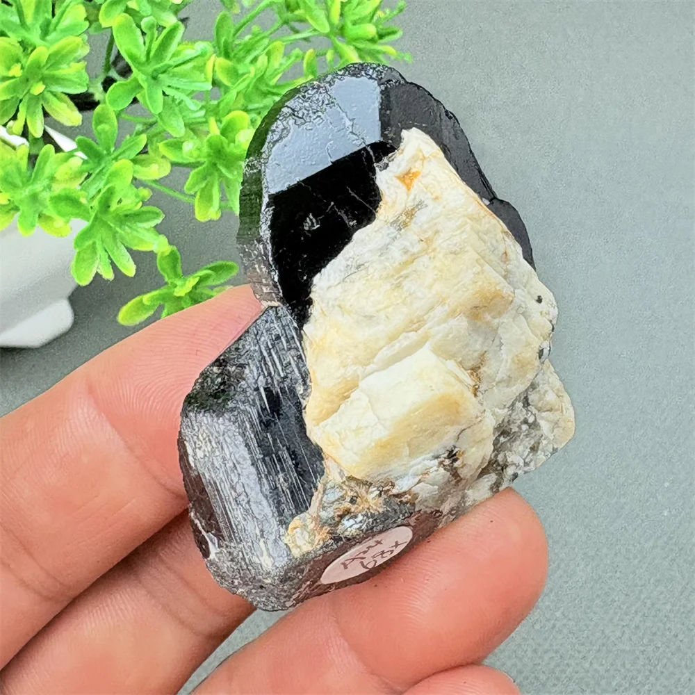 Mineral Specimen Black Tourmaline And White Quartz Symbiotic Growth Healing Gemstones Quartz Crystals for Decorative Purposes