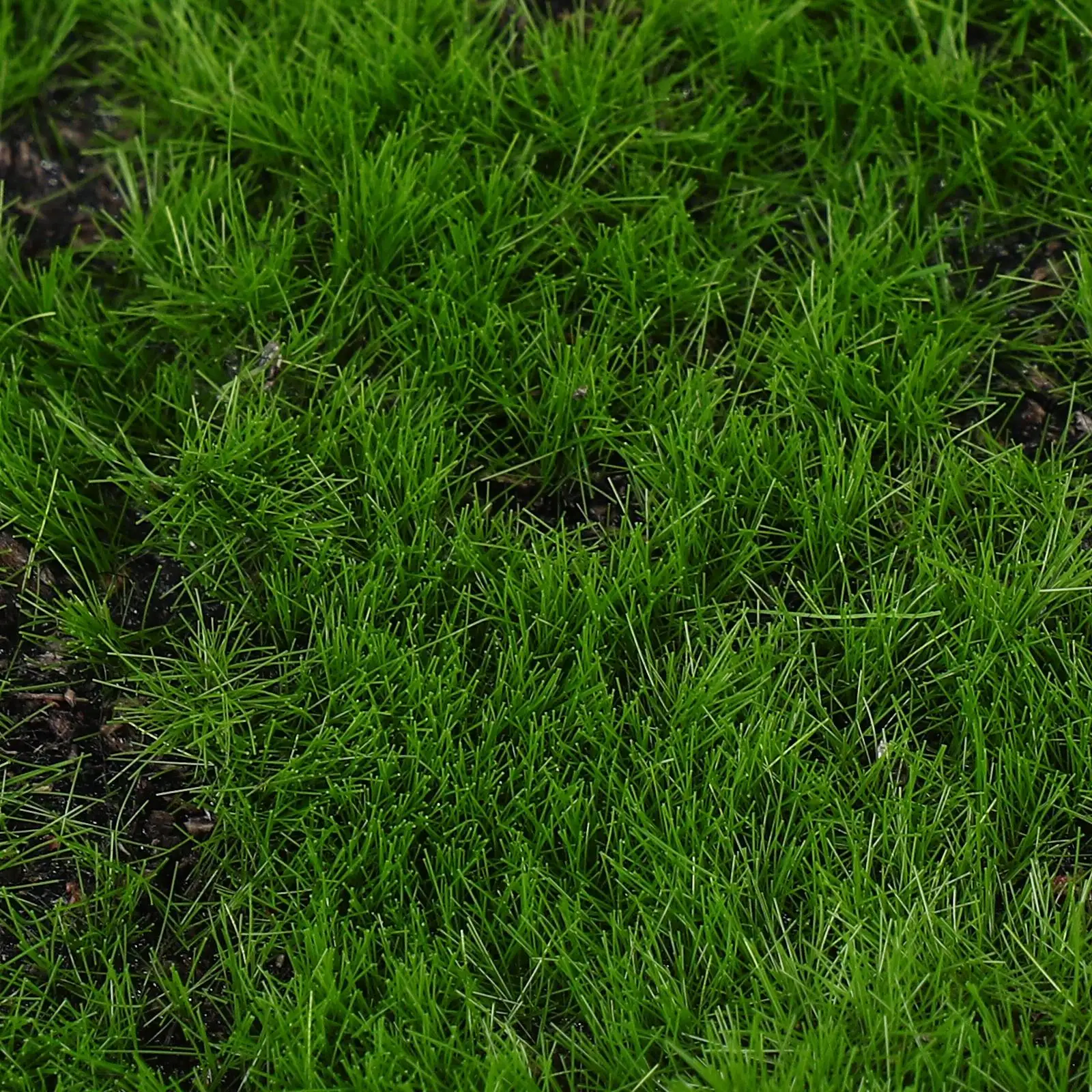 

Simulated Moss Turf Artificial L Decorations Vibrant Cotton Material Craft Projects Wall Succulent