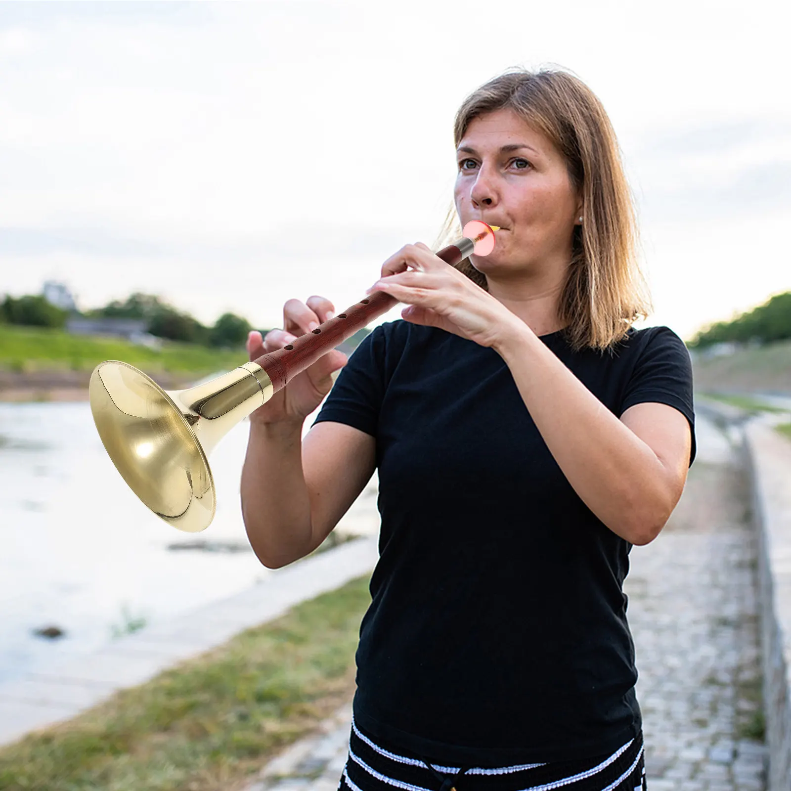 

Набор из 1-го комплекта профессиональных китайских сюань (Suona) из палисандра для начинающих, этнический духовой инструмент, портативный музыкальный инструмент