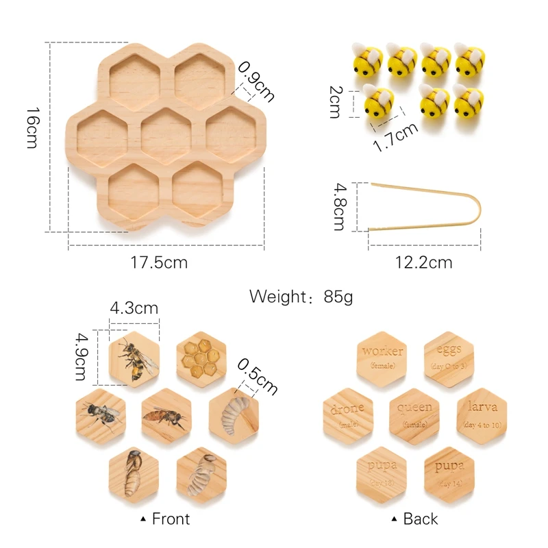 Tarjeta cognitiva del ciclo de crecimiento de abejas, juguetes de agarre de abejas de colmena de madera, juego de coordinación de manos y pies, juguete cognitivo infantil, regalo