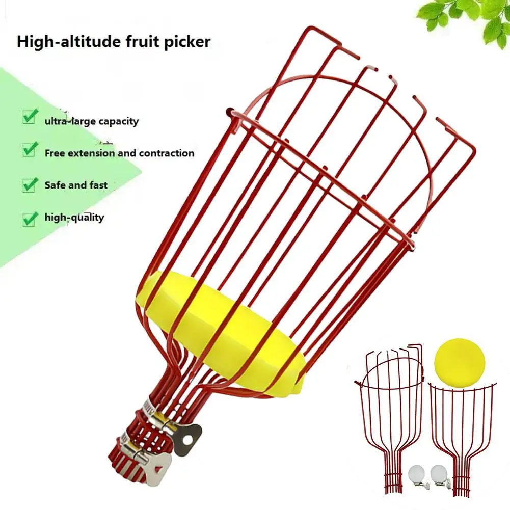 Ajustável Long Handle Fruit Picker com cesta, Catcher para a Apple, Manga, Pêra, Laranja, Abacate, Professional Orchard Tool, F7Q3