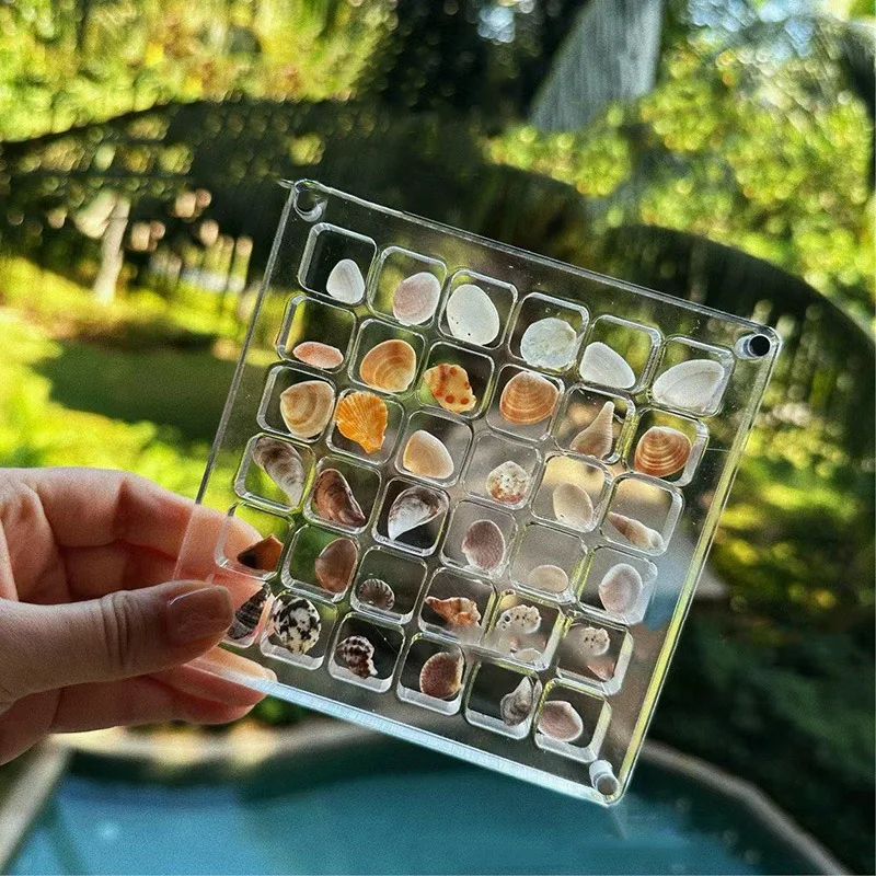 1PC Shell Organizer Dustproof Acrylic Square Clear Seaside Miniature Stone Specimen Display Box Simple Mini Shell Organizer