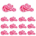PE10592CT
