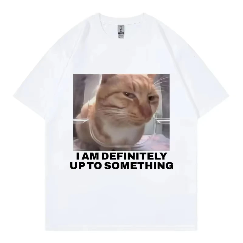 I Am Definitely Up To Something Funny Cat Meme T-shirt High Street Fashion Trend Women Casual Harajuku Short Sleeve Casual