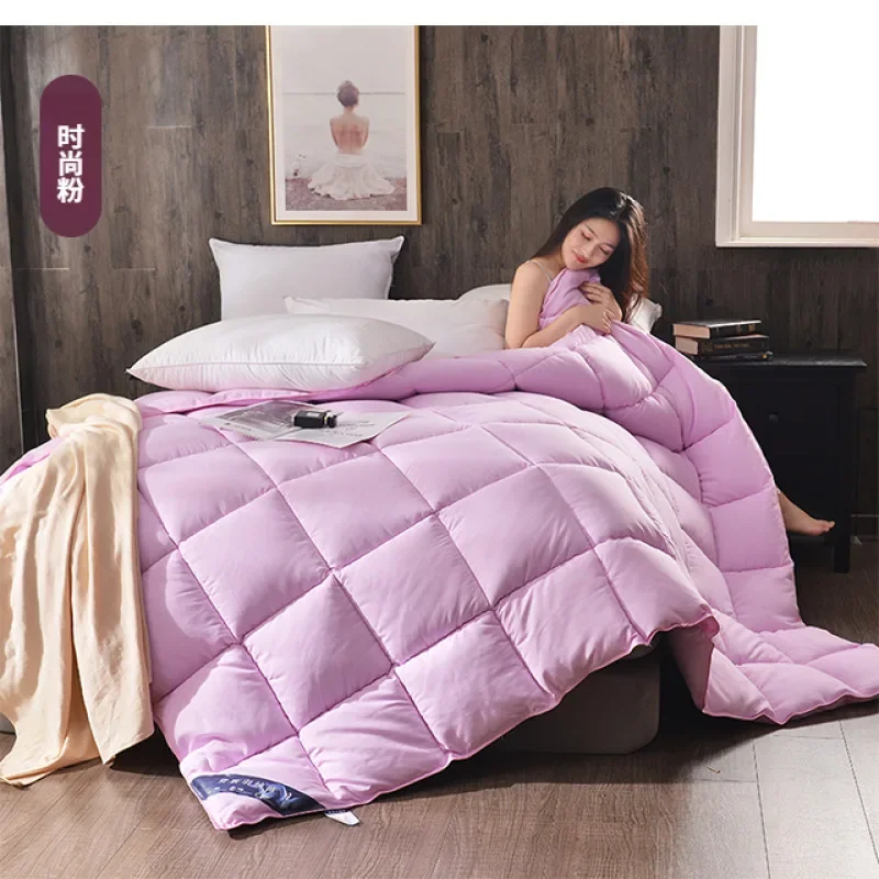 Five-star hotel thick warm down quilt thin quilt white goose down quilt core winter quilt thick warm down quilt