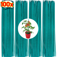 100/10PCS Plant Support Rods Reusable Plant Stakes Vine Climbing Bracket DIY Handmade Flower Bouquet Stick Home Garden Supplies