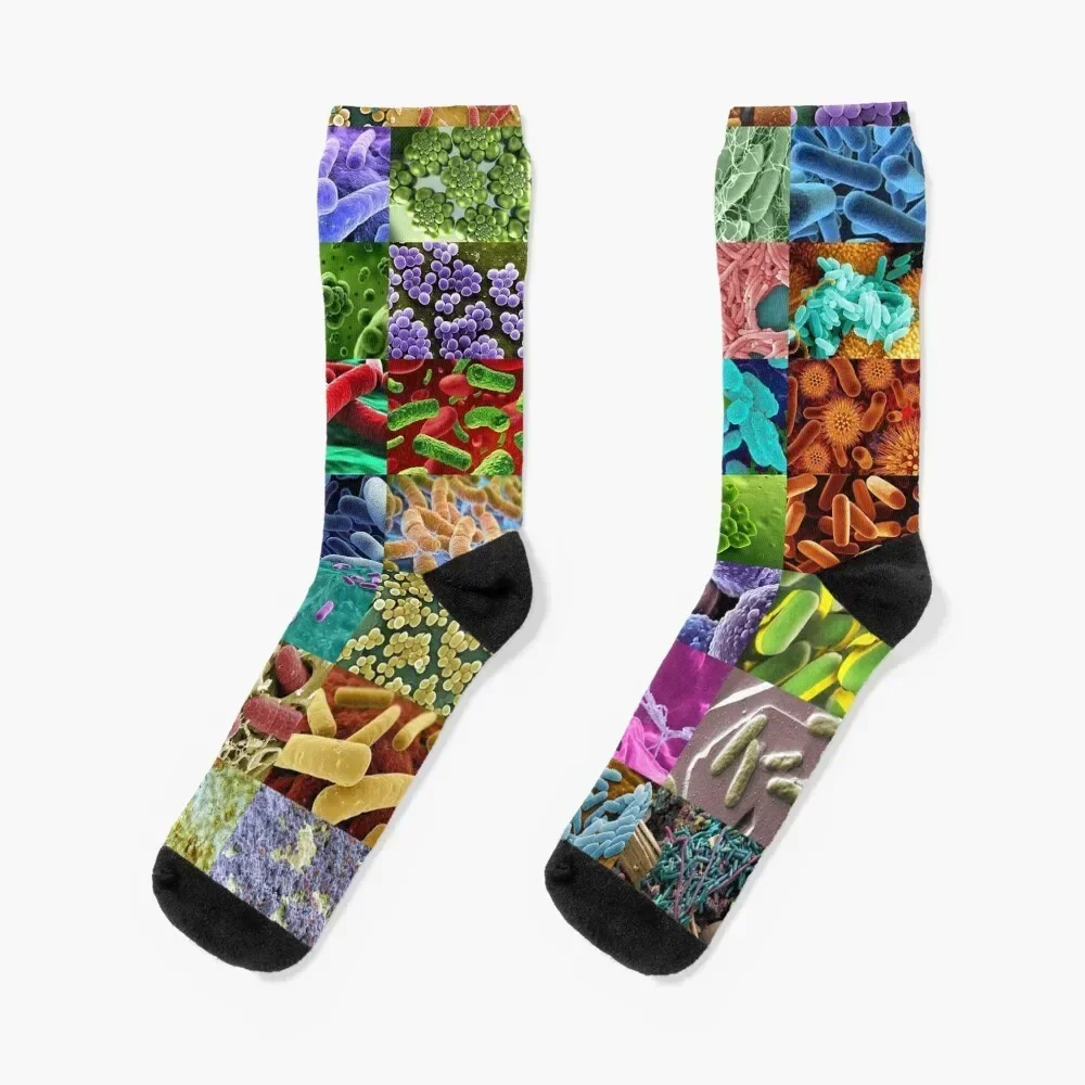 

Bacteria Socks short hip hop funny gift Socks Man Women's