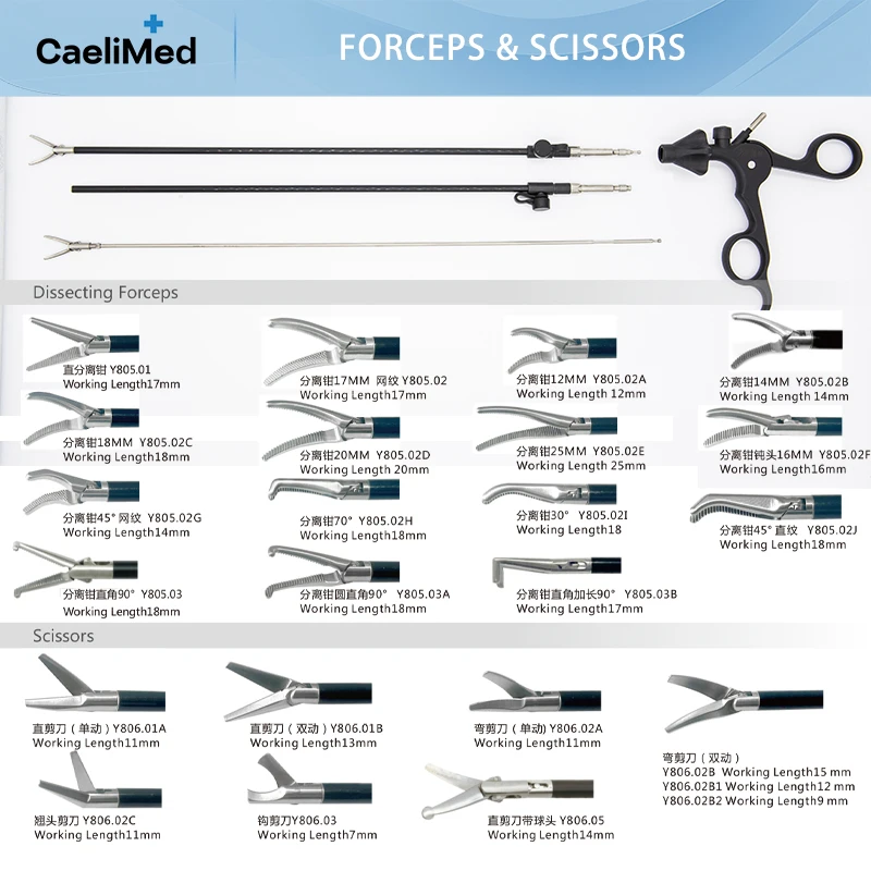 OEM/ODM Factory Direct Reusable Laparoscopic Forceps & Scissors, Detachable Kit Compatible with STORZ for Endoscopic Practice