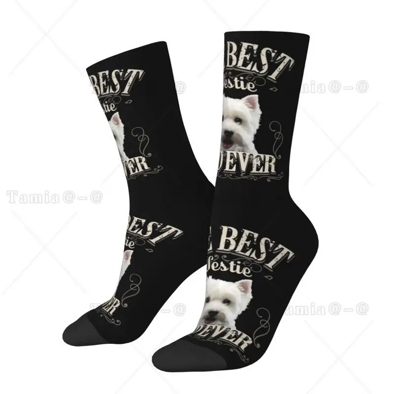 Fashion Printing Best Westie Socks for Men Women Stretch Summer Autumn Winter West Highland White Terrier Dog Crew Socks