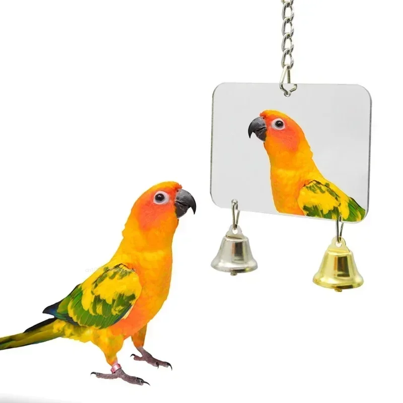 1Pc Pet Toy Mirror Fun Toy for Cockatiel Parrots Small Birds Parrot Pet Parrots Climb Outdoor Indoor Hanging Pet Supplies