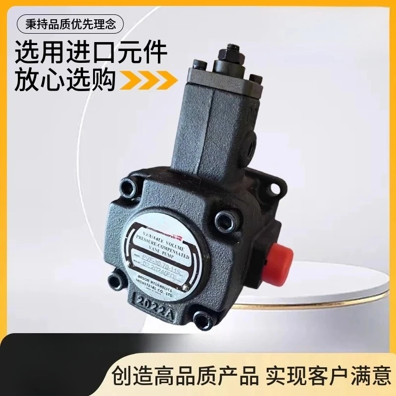 PVF - 20-70-10 S 11S 12 15 30 40 35 55 Variable vane pump flat key, spline
