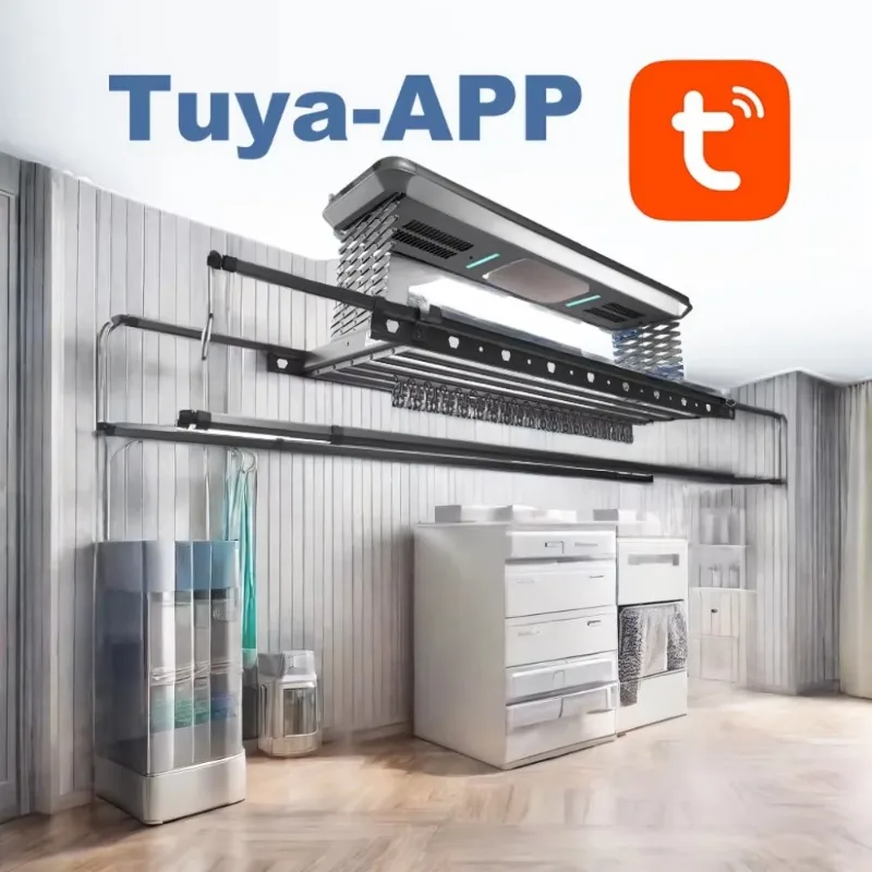 Automatic Aluminum Hanging Clothes Rack Modern High-end Intelligent Smart Retractable Use