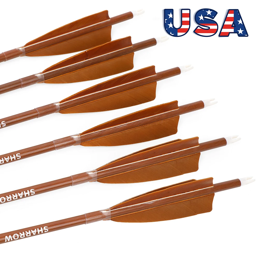 

Набор из 12 стрел для стрельбы из лука: смешанный карбон, спайн 500, длина 31,5 дюйма, диаметр стержня 6,2 мм, оперение из перьев индейки, для рекурсивного лука, для стрельбы по мишеням и охоты