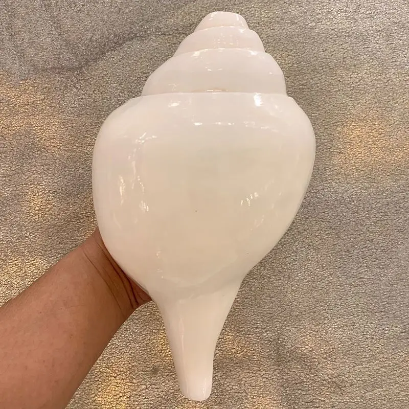 Nepal Natural Conch Shell White Conch Tantric Buddhist Ritual Implement Ornament Eight Offerings Blowable Sound