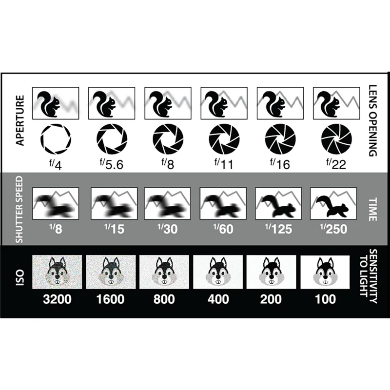 A73E-For Photographers DSLR Photography Composition View Finder Shutter Speed Exposure Triangle Manual Mode 2Pcs