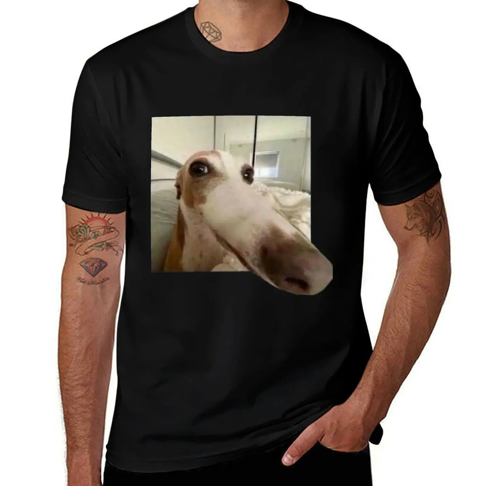 

Funny Dog T-Shirt Comfortable Workout Short Sleeve Shirt